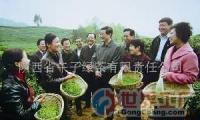 批發(fā)中國(guó)生物農(nóng)業(yè)有機(jī)綠茶科技開(kāi)發(fā)項(xiàng)目融資_食品、飲料_世界工廠網(wǎng)中國(guó)產(chǎn)品信息庫(kù)