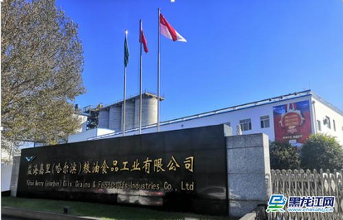 深耕龍江十余載 金龍魚糧油王者C位登創(chuàng)農業(yè)開發(fā)