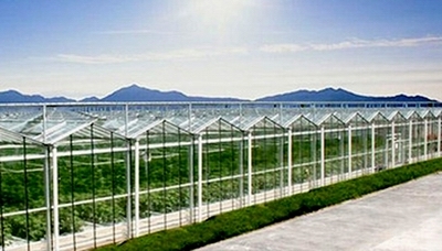 河南農園農業(yè)科技開發(fā)——推動現(xiàn)代農業(yè)發(fā)展的新引擎