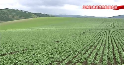 構筑特色農業(yè)新優(yōu)勢，以產(chǎn)業(yè)發(fā)展促鄉(xiāng)村振興
