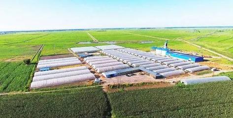 扶余 產(chǎn)業(yè)強、農民富，繪就千里沃野新圖景